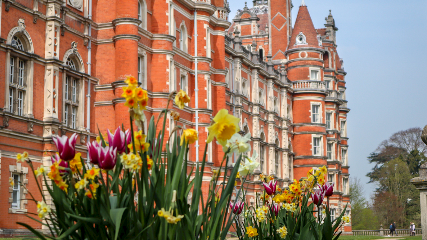 Flowers in spring on Egham campus